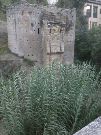 Carrera del Darro 015