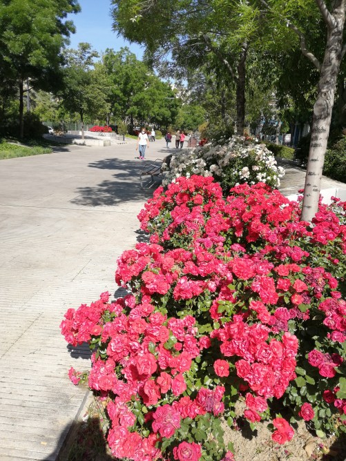 Avenida de la Constitución
