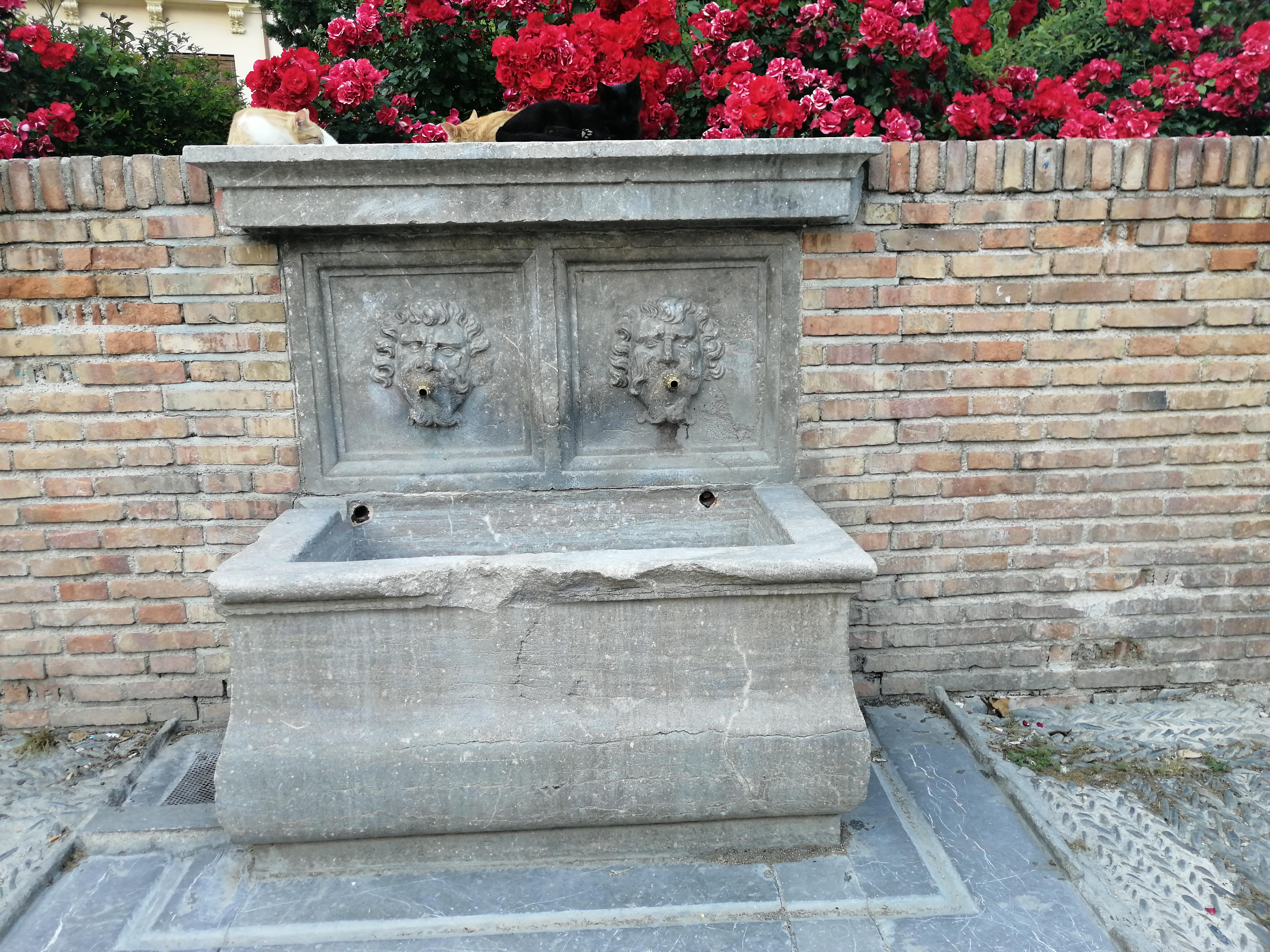 Pilar del Campo del príncipe